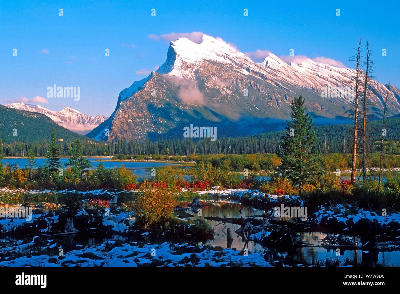 Vermiglio lago nel tardo autunno con le cime coperte di neve di Mount Rundle in background, il Parco Nazionale di Banff in Canada. Foto Stock