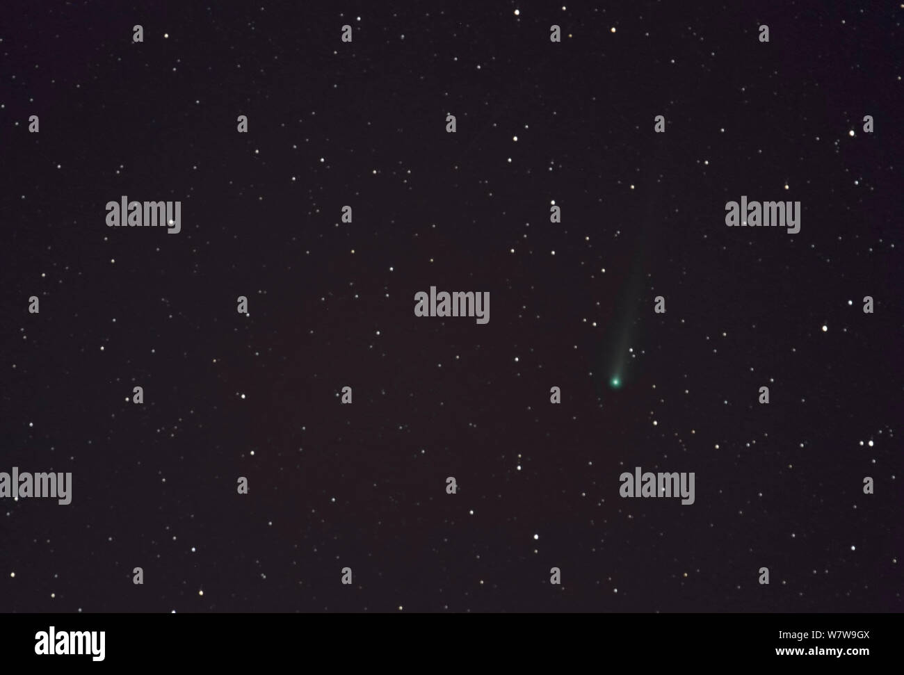 La cometa C/2012 S1 (IOSN) prendere da Karval, Eastern Colorado, 11 novembre 2013. Foto Stock