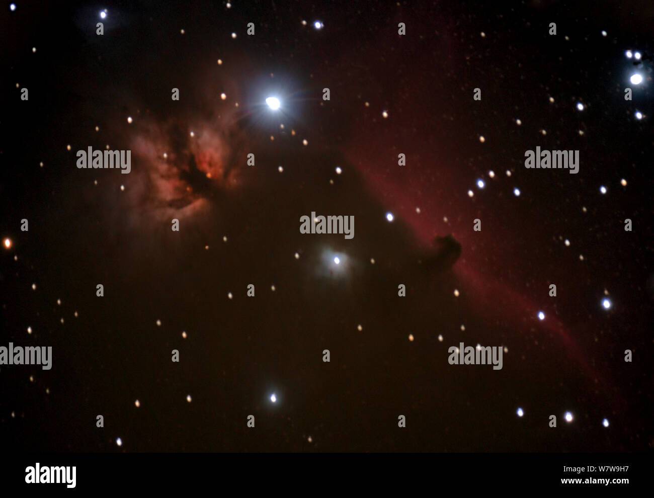 La Horsehead Nebula e NGC 2024 adottate dall est del Colorado, Stati Uniti d'America, la notte del 1 novembre 2013. Foto Stock