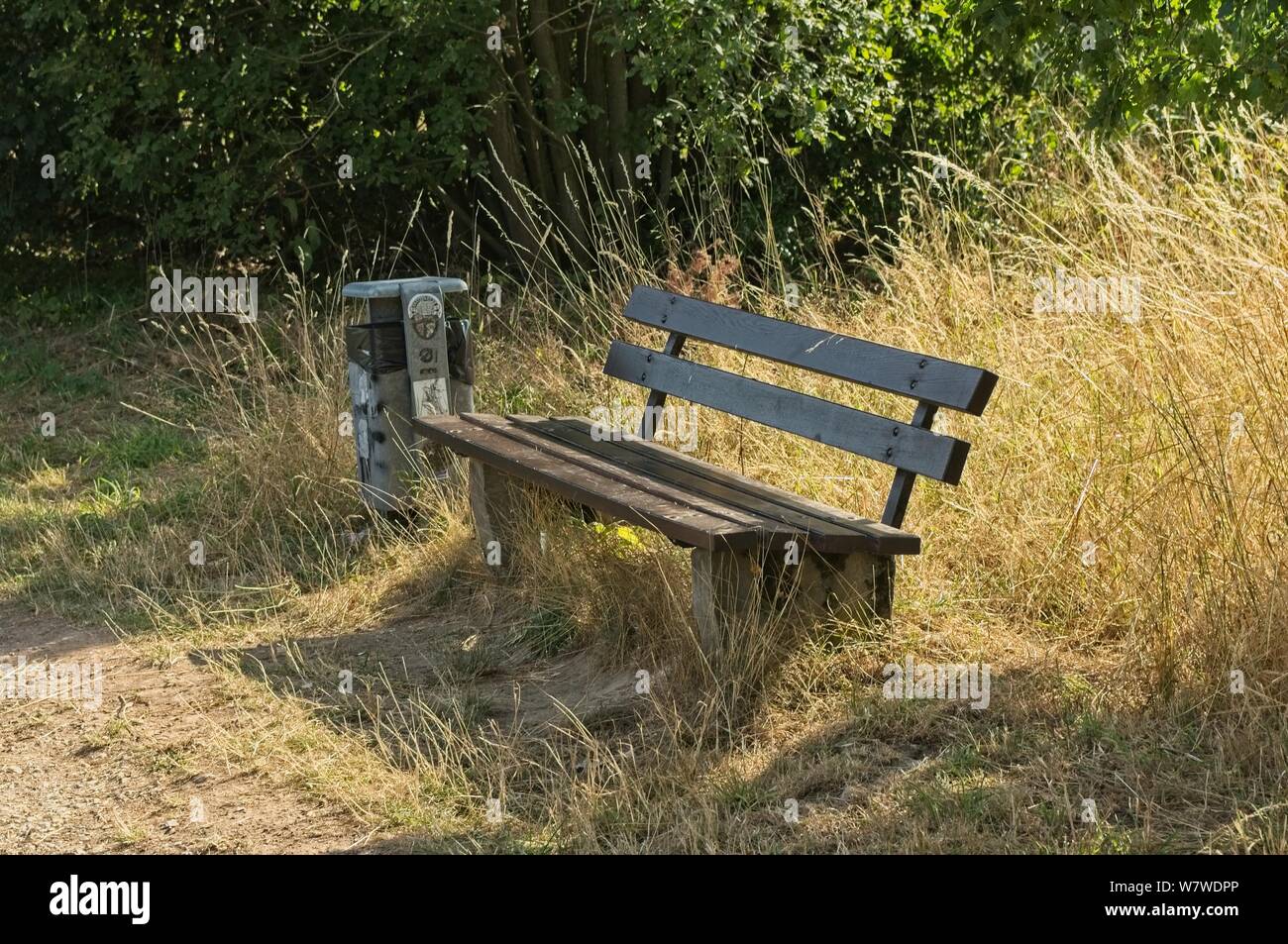 Panca in legno nel verde Foto Stock