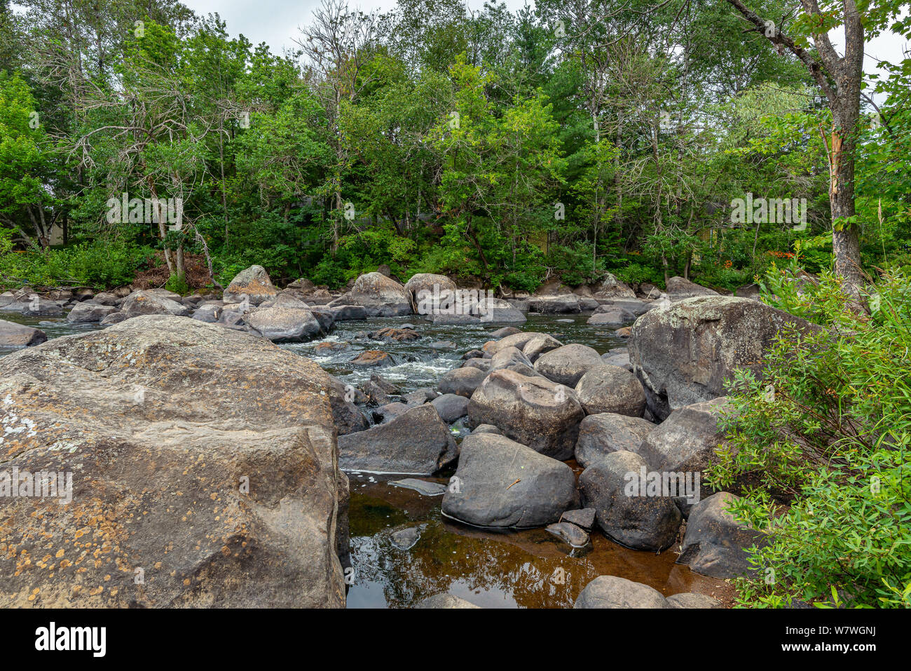 Stream e il sentiero paesaggio Foto Stock