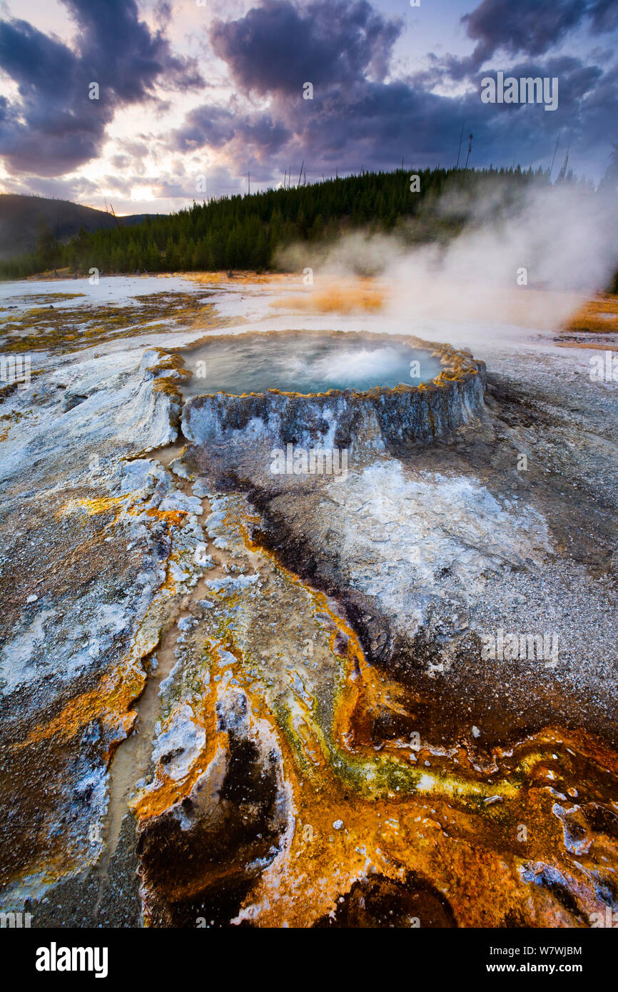 Hotspring e batteri circostanti, il Parco Nazionale di Yellowstone, Wyoming negli Stati Uniti. Settembre 2008. Foto Stock