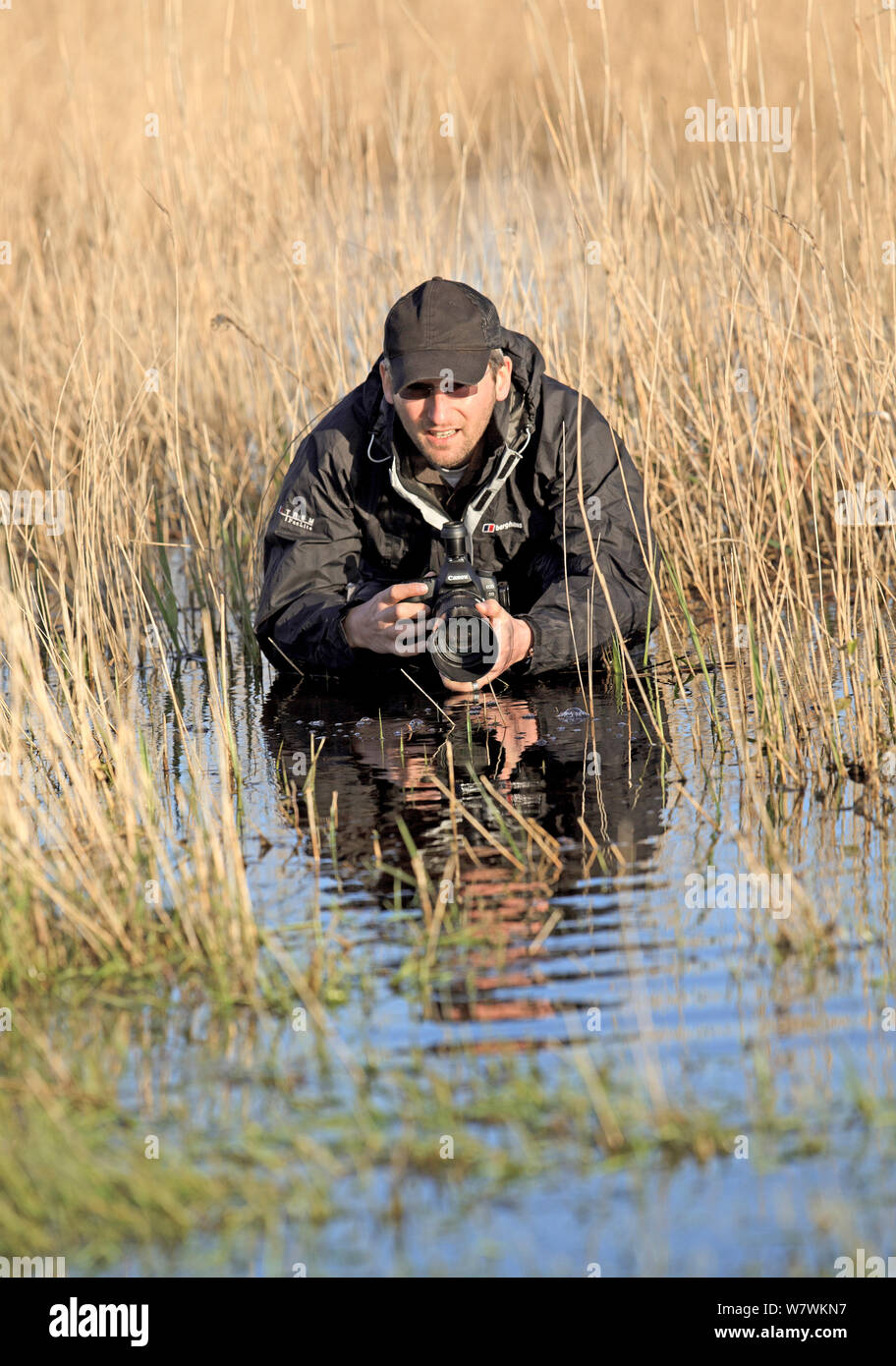 Fotografo Guy Edwardes fotografare marsh rane mentre sull'assegnazione per 2020vision, Dorset, England, Regno Unito, maggio 2012. Foto Stock