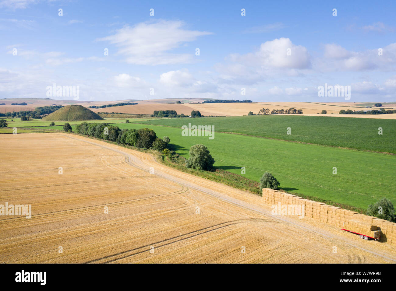 Silbury Hill, Nr Avebury, Wiltshire, Regno Unito. Il 6 agosto 2019. L antico man-made tumulo di Silbury Hill telai nella distanza come avviene la mietitura io Foto Stock