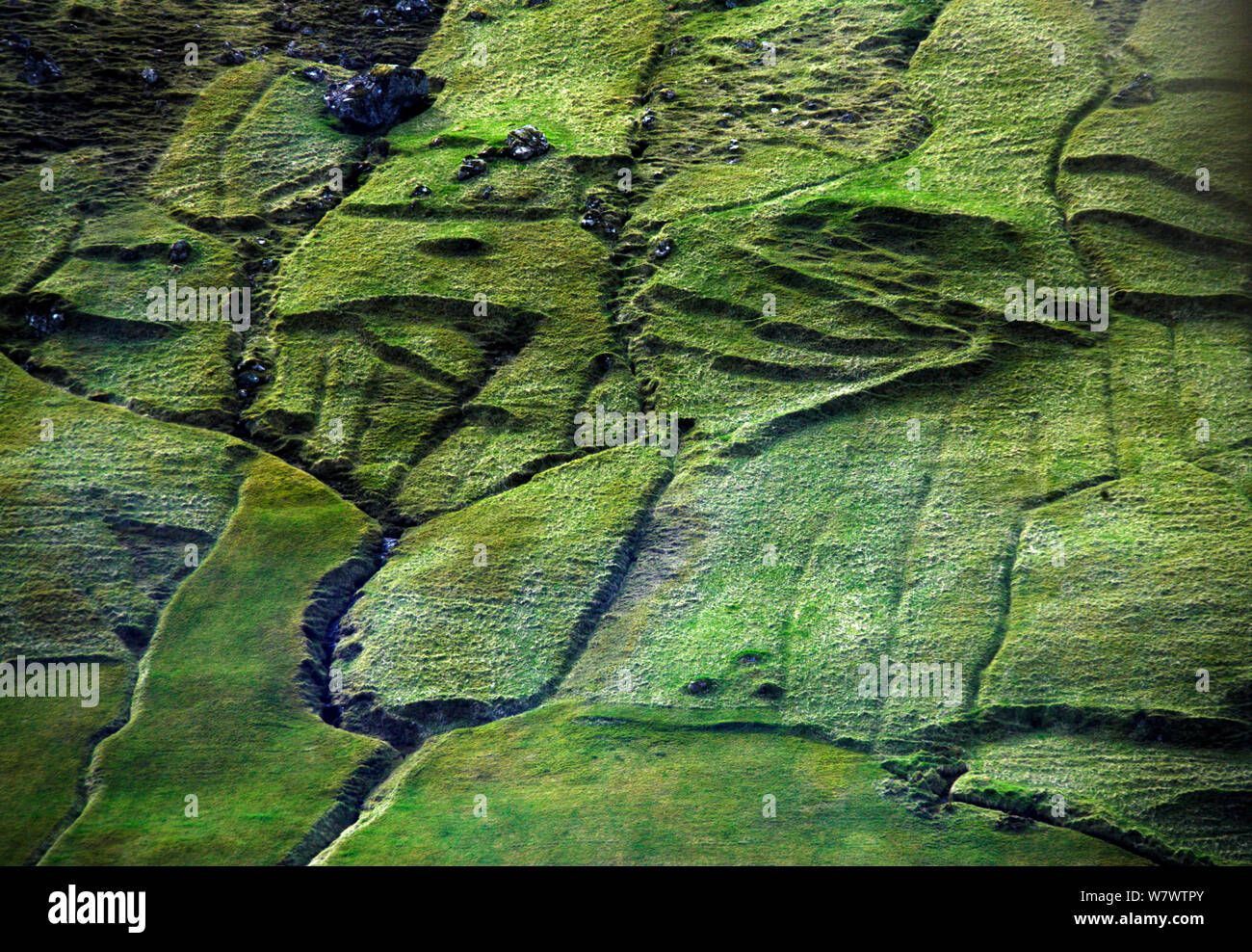 Vista aerea di pascoli su isole Faerøer. Foto Stock