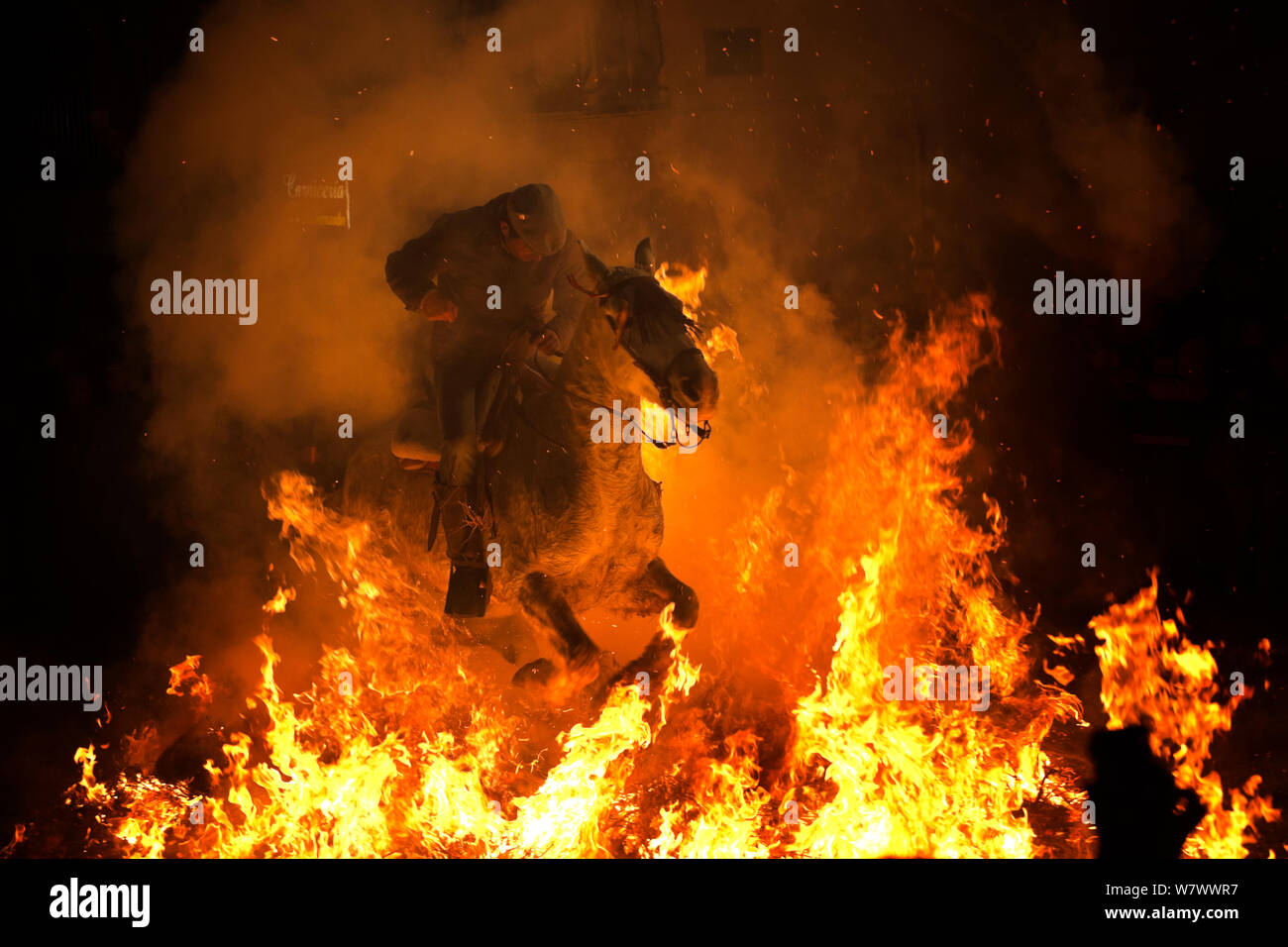L'uomo saltare attraverso il fuoco per purificare il suo cavallo durante il festival Luminarias, tenuto ogni Gennaio in San Bartolome de Pinares, provincia di Avila, Castiglia e Leon, Spagna, Gennaio 2014. Foto Stock