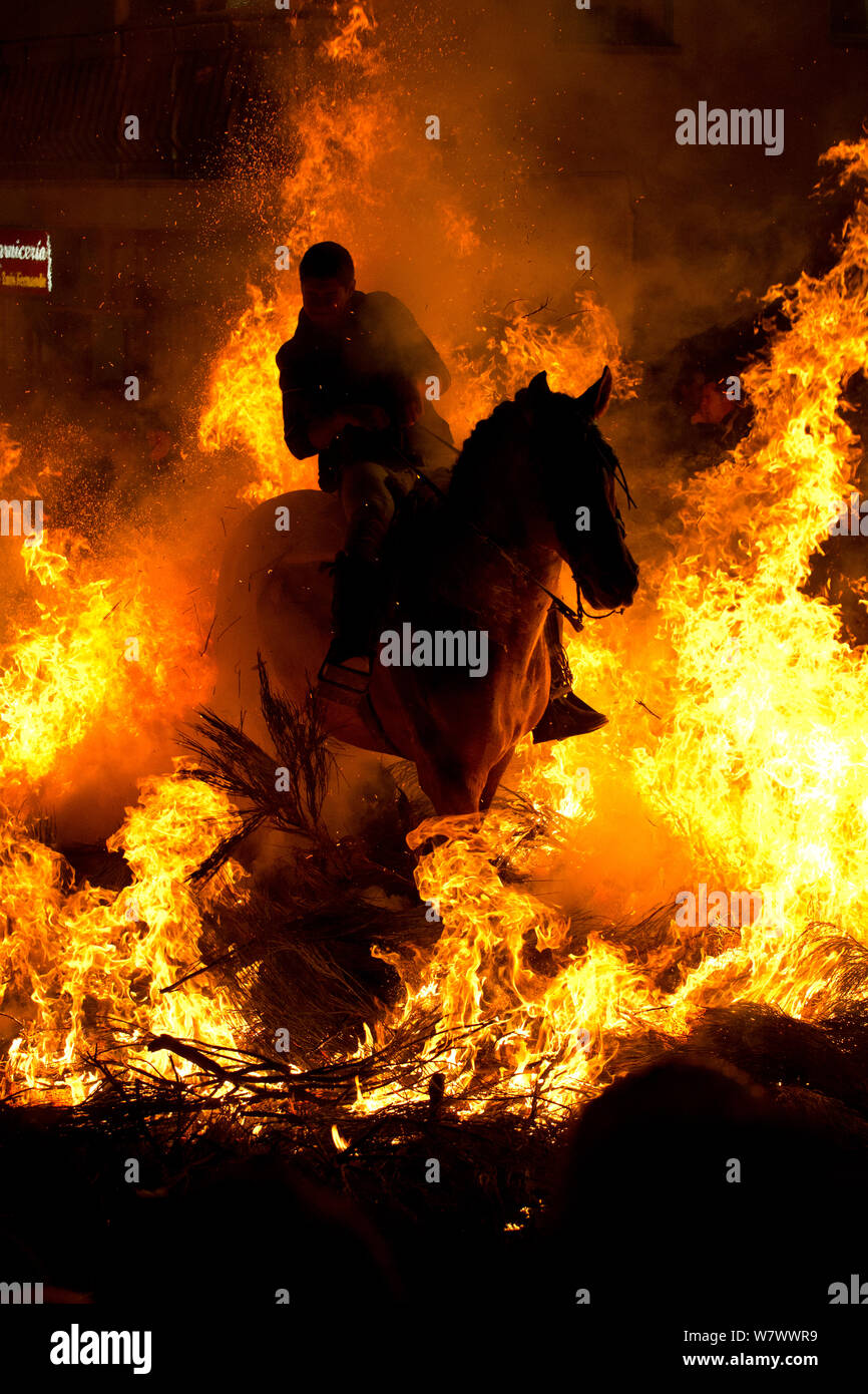 Giovane uomo saltare attraverso il fuoco per purificare il suo cavallo durante il festival Luminarias, tenuto ogni Gennaio in San Bartolome de Pinares, provincia di Avila, Castiglia e Leon, Spagna, Gennaio 2014. Foto Stock