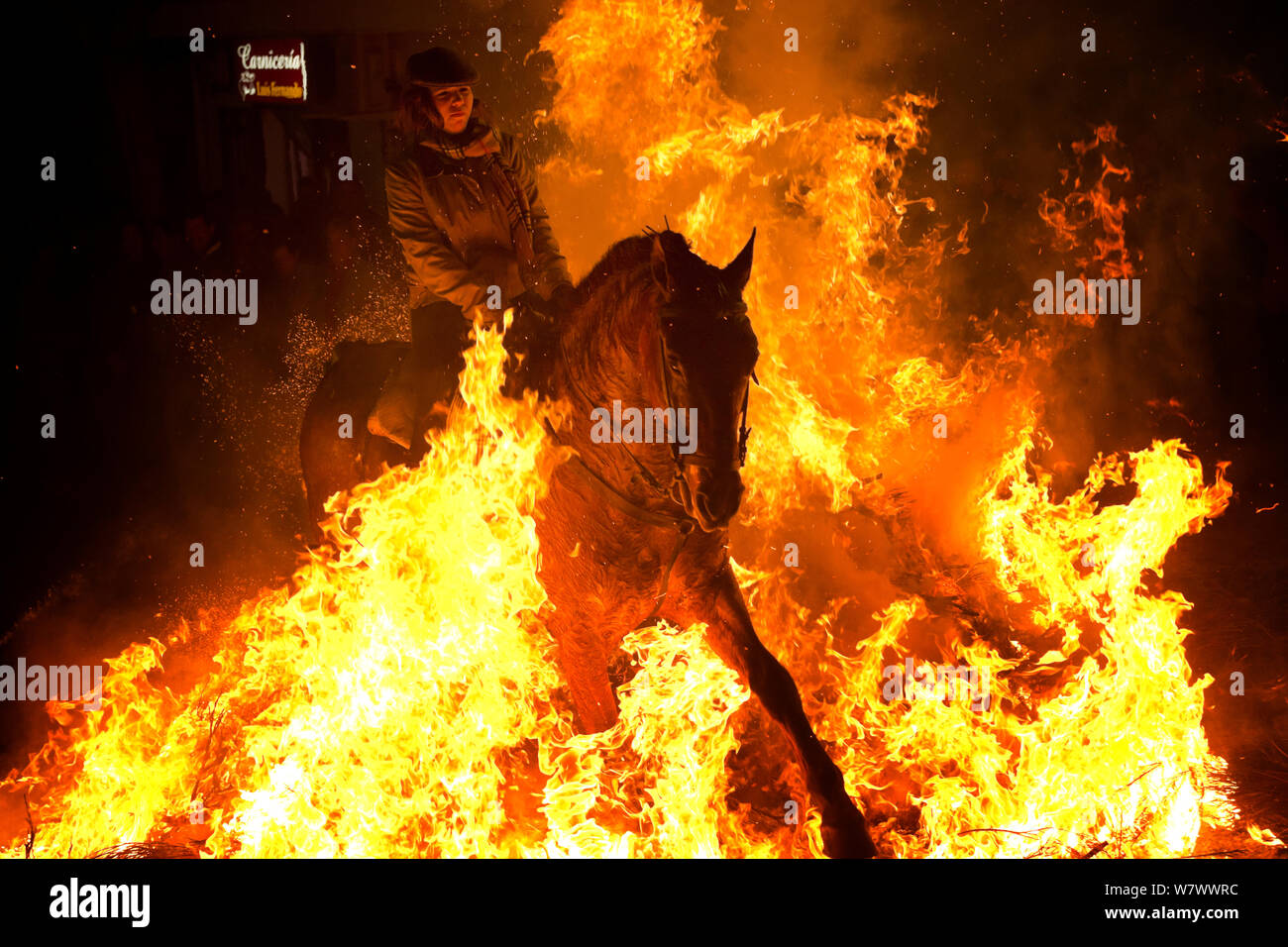 Giovane donna saltare attraverso il fuoco per purificare il suo cavallo, durante il festival di Luminarias, tenuto ogni Gennaio in San Bartolome de Pinares, provincia di Avila, Castiglia e Leon, Spagna, Gennaio 2014. Foto Stock