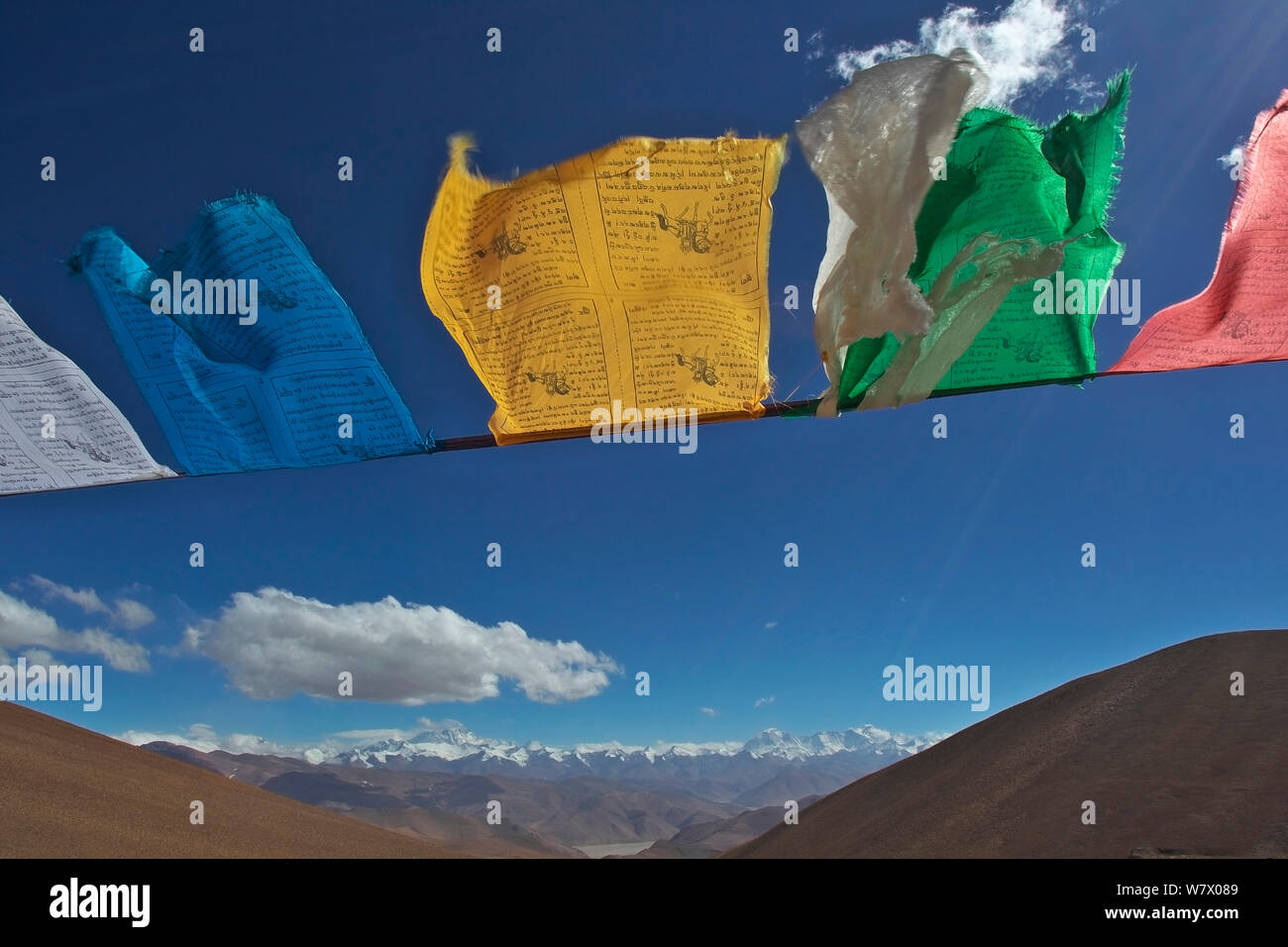 Preghiera bandiere su una montagna sacra, Mount Qomolangma National Park, Dingjie County, Qinghai-Tibet altopiano, Tibet, Cina, Asia Maggio 2013. Foto Stock