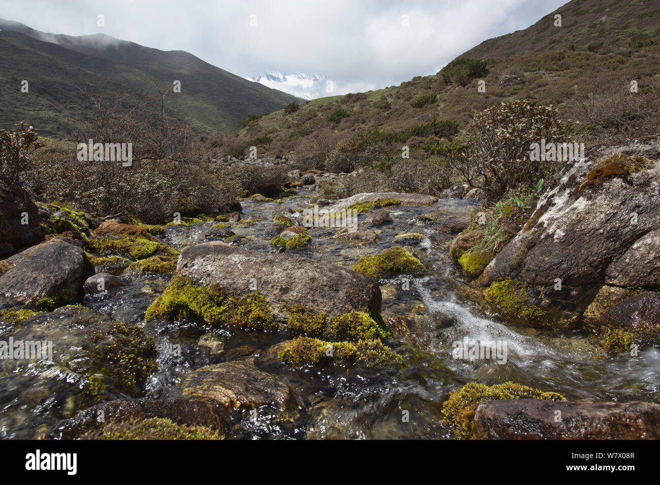 Stream su Makalu Mountain, Mount Qomolangma National Park, Dingjie County, Qinghai-Tibet altopiano, Tibet, Cina, Asia Maggio 2013. Foto Stock