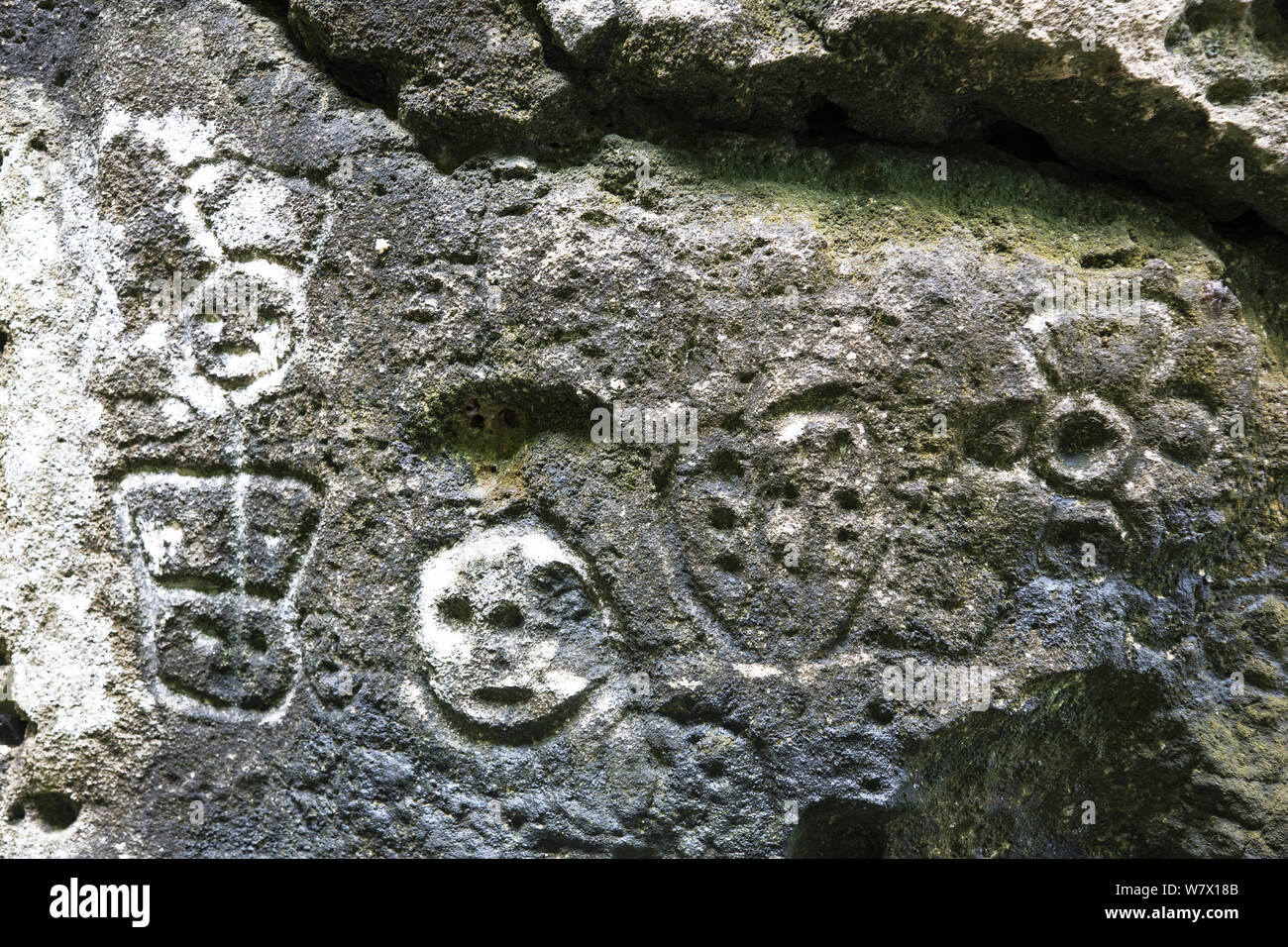 Precolombiana intagli in Indian Cave, Cuare golfo, Chichiriviche, Costa dei Caraibi, Venezuela. Febbraio 2014. Foto Stock