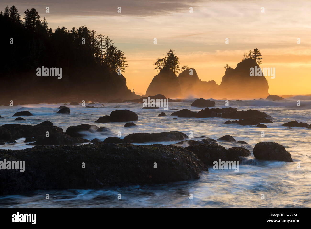 Le formazioni rocciose stagliano al tramonto sulla Pacífic costa del Parco Nazionale di Olympic, nello Stato di Washington, USA. Foto Stock