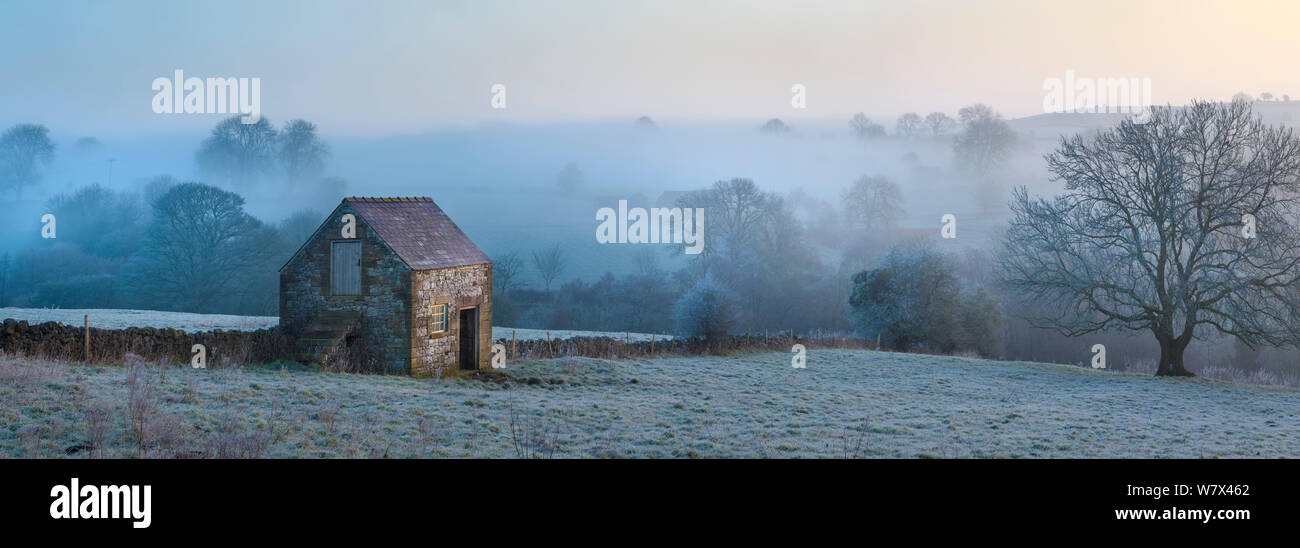 Fienile in pietra all'alba, Bonsall, Parco Nazionale di Peak District, Derbyshire, Regno Unito. Marzo 2013. Cucito digitalmente panorama. Foto Stock