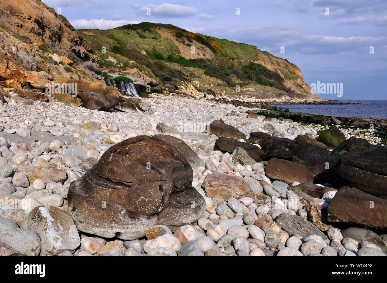 Geologiche noduli sferica sulla spiaggia a Osmington Mills, Dorset, Jurassic Coast, Regno Unito, maggio 2013. Foto Stock