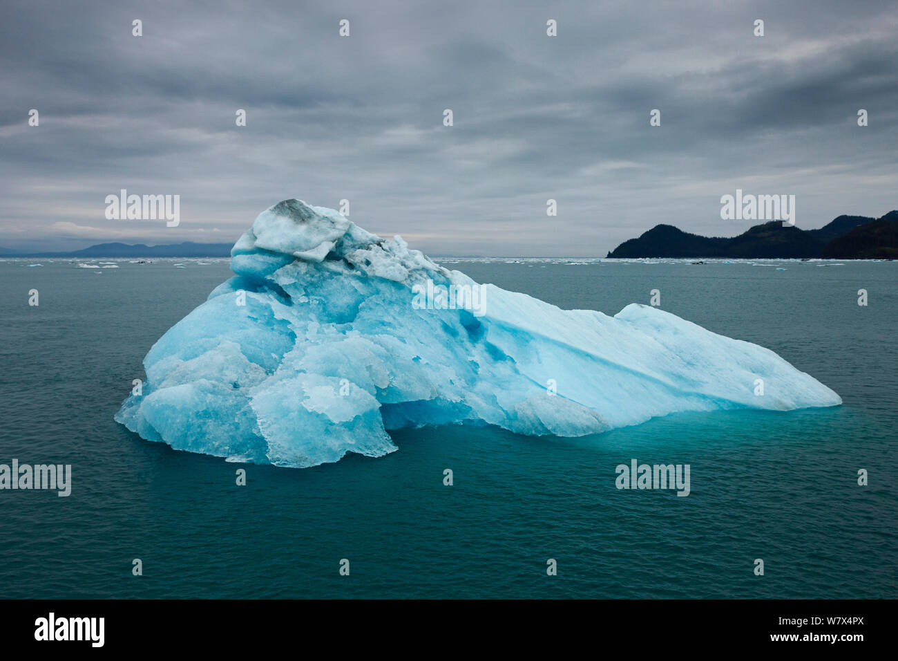 Blu iceberg, Prince William Sound, Alaska, Stati Uniti d'America. Giugno 2013. Foto Stock