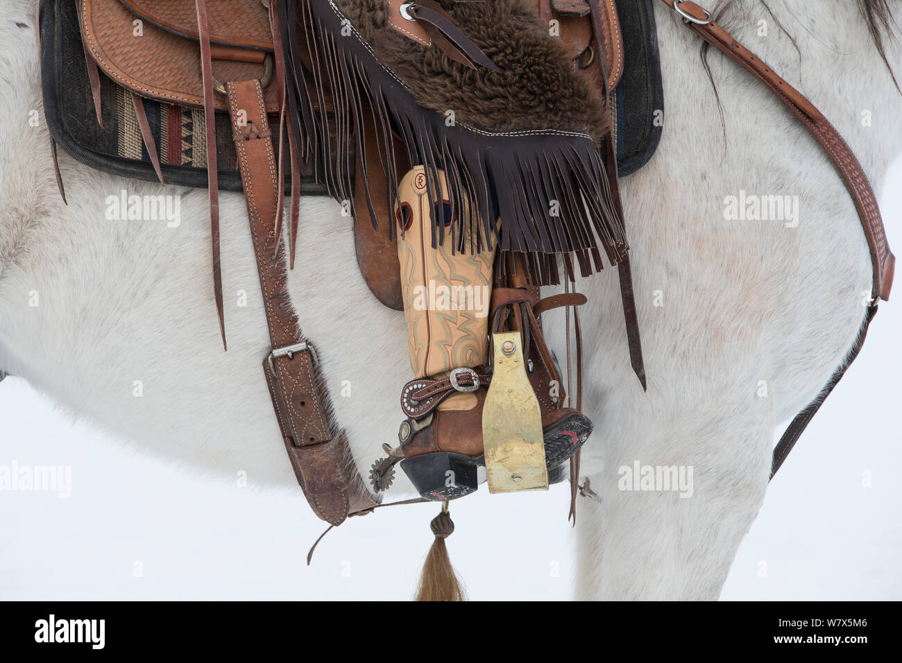 Chiusura del bagagliaio in staffa con sperone, su Quarter Horse, Shell, Wyoming negli Stati Uniti. Foto Stock