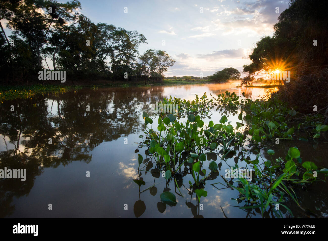 Tre Fratelli River a sunrise, Mato Grosso, Pantanal, Brasile. Agosto 2011. Foto Stock