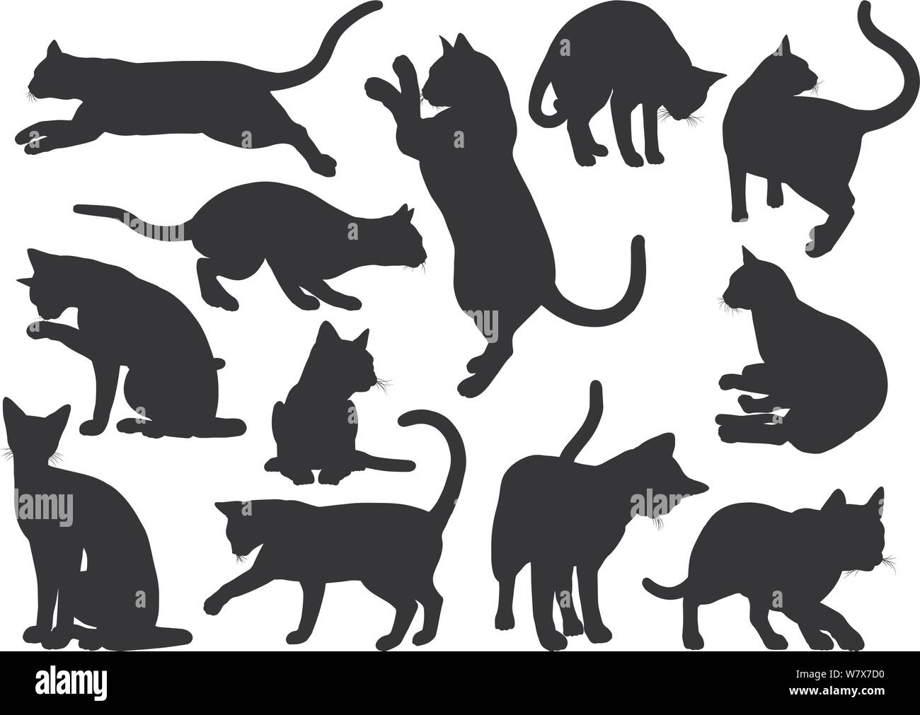 Silhouette di gatto Animali da compagnia impostato Illustrazione Vettoriale