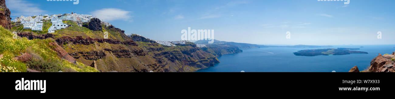 Fiori a margherita presso il villaggio di Imerovigli, mostrando un ampio litorale con il Nea Kameni isola nell'oceano. Foto Stock