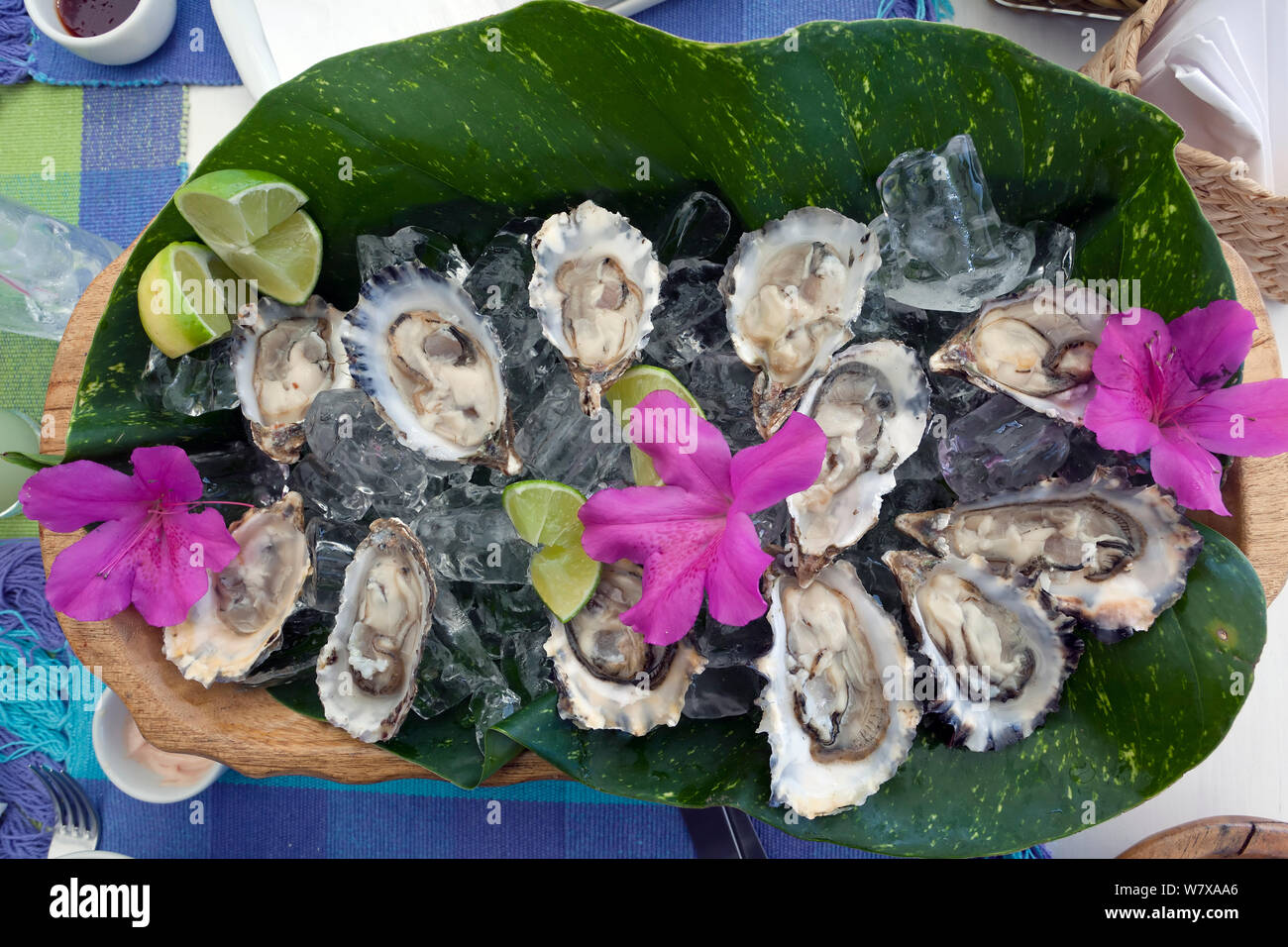 Una piastra di ostriche su ghiaccio pronto a mangiare, Stato di Santa Catarina, Brasile. Foto Stock