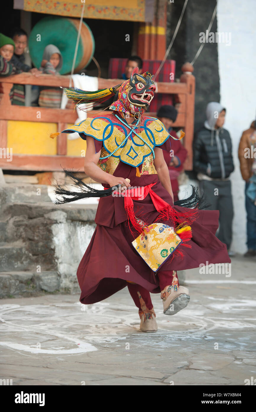 Phagcham (Pig dance / danza monastica). I monaci eseguire questa danza monastica, che indossa la maschera di un maiale e drappeggiati in abito tradizionale, per neutralizzare la danza cortile del monastero. Festival Torgya, Galdan Namge Lhatse monastero,Tawang, Arunachal Pradesh, India. Gennaio 2014. Foto Stock