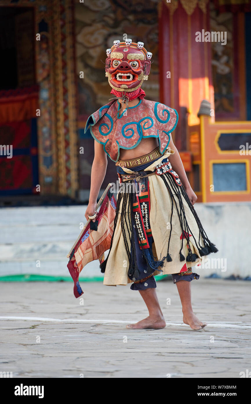 Zamcham (danza monastica). Gli artisti in questo ballo indossare maschere adirato e viene eseguita la danza per salvaguardare il luogo, che è stata neutralizzata dalla precedente Phagcham (pig dance). Torgya festival. Galdan Namge Lhatse Monastero Tawang, Arunachal Pradesh, India. Gennaio 2014. Foto Stock