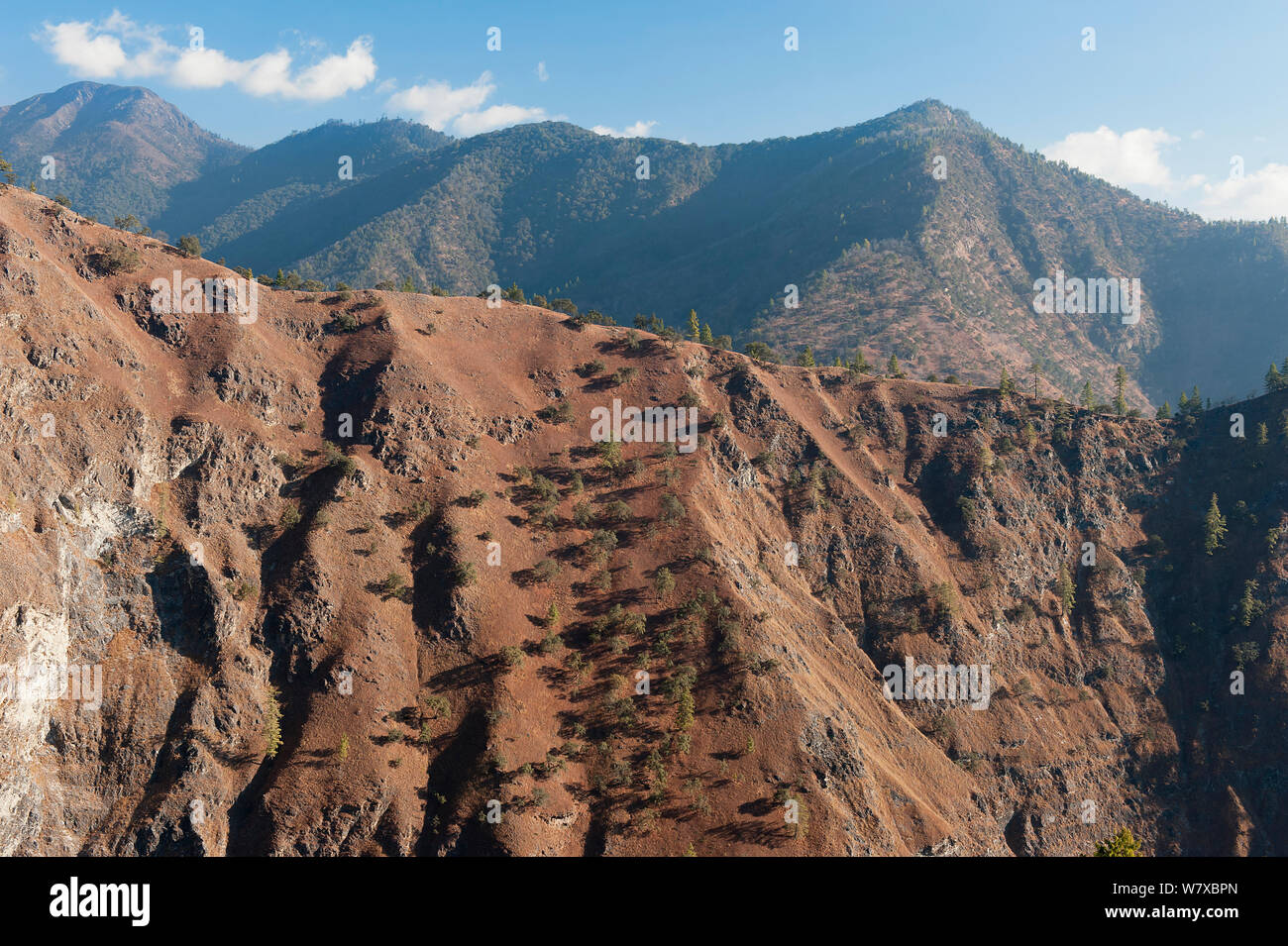 Paesaggio tra Rupa-Shergaon-Morsing- Mandala-Dirang, Arunachal Pradesh, India, Gennaio 2014. Foto Stock