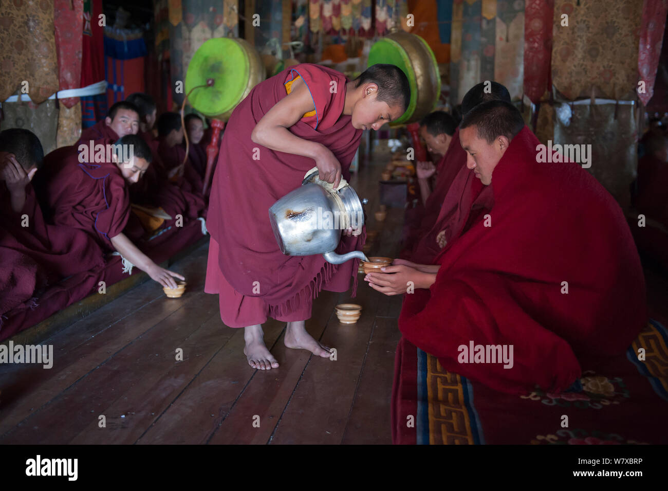 Giovane monaco che serve tè Yak pudja durante la pausa. Torgya festival. Galdan Namge Lhatse Monastero Tawang, Arunachal Pradesh, India. Gennaio 2014. Foto Stock