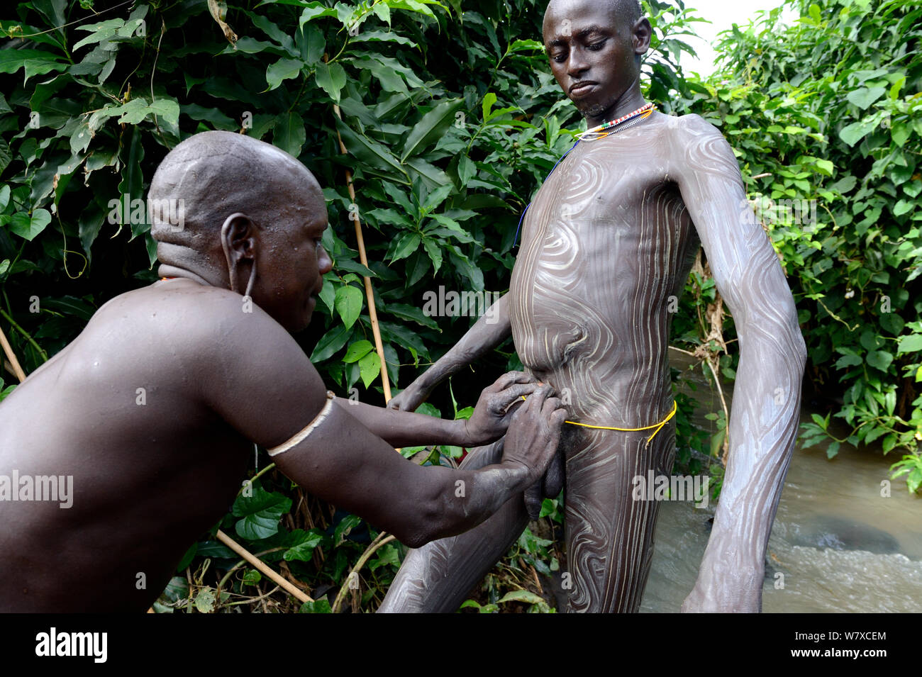 Prima dell'&#39;Donga&#39; stick lotta, un Suri / Surma warrior si applica vernice realizzata di argilla e minerali per il corpo di un altro guerriero. Omo river Valley, Etiopia, settembre 2014. Foto Stock