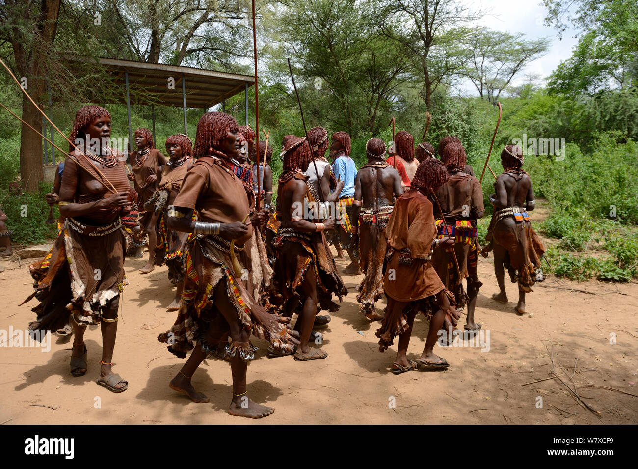 Donne che danzano in abiti tradizionali durante la cerimonia Ukuli, un rito di passaggio per i ragazzi a diventare uomini. Hamer tribe, Omo river valley, Etiopia, settembre 2014. Foto Stock