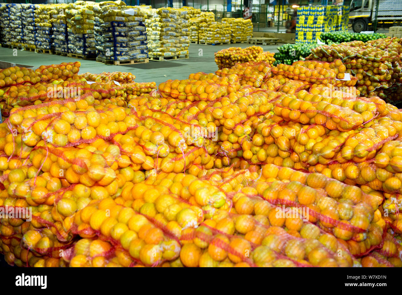 La frutta dal Suicurbossie farm in un magazzino centrale di Cape Town, pronti per essere presi al mercato. Sud Africa. Foto Stock