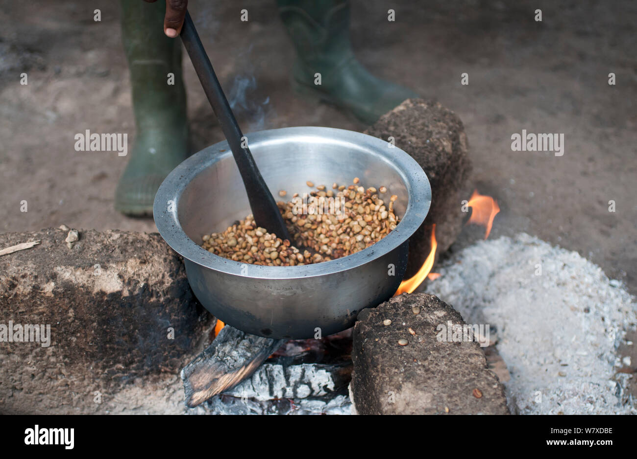 Il caffè (Coffea arabica) Fagioli tostatura su un fuoco, Tanzania Africa Orientale. Foto Stock