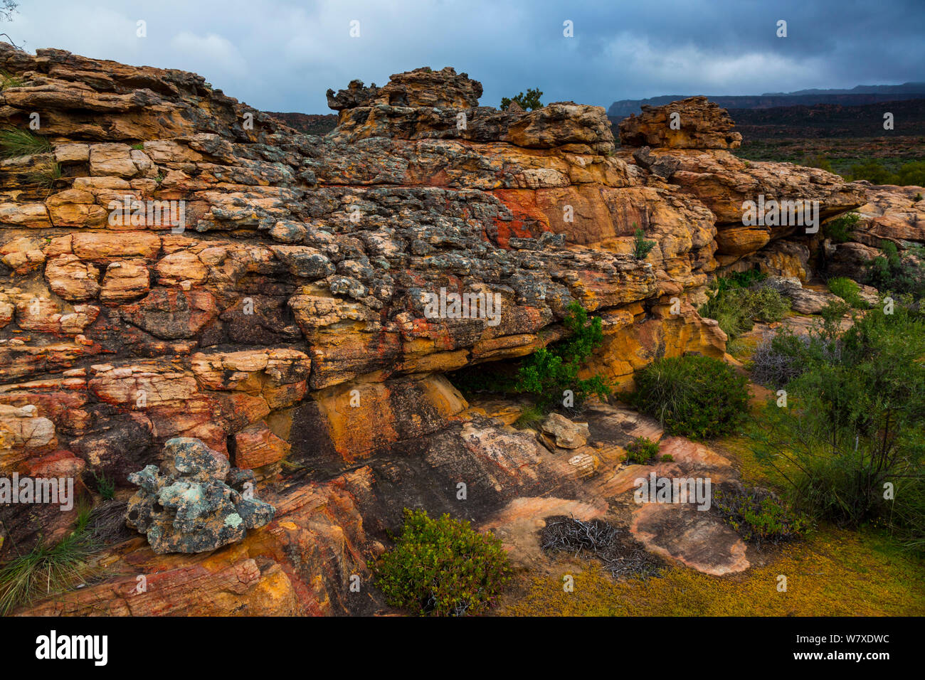 Rocce esposte faccia in Sevilla Bushman Arte Rock Trail, Clanwilliam, montagne Cederberg, provincia del Capo Occidentale, Sud Africa, settembre 2012. Foto Stock