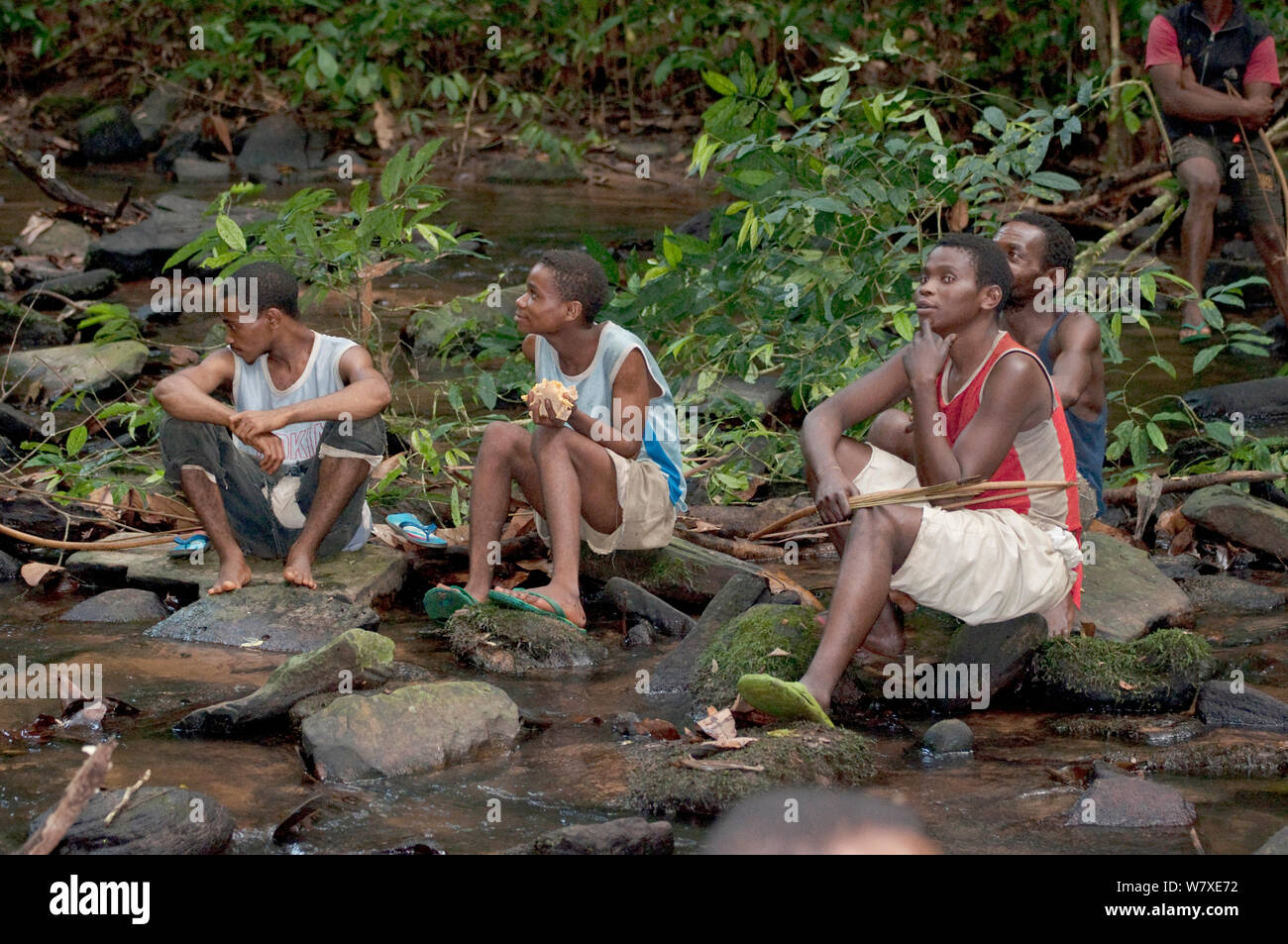 Pigmei Mbuti pigmeo di uomini in appoggio e guardandosi intorno mentre la caccia, la foresta pluviale di Ituri, nella Repubblica democratica del Congo, Africa, novembre 2011. Foto Stock