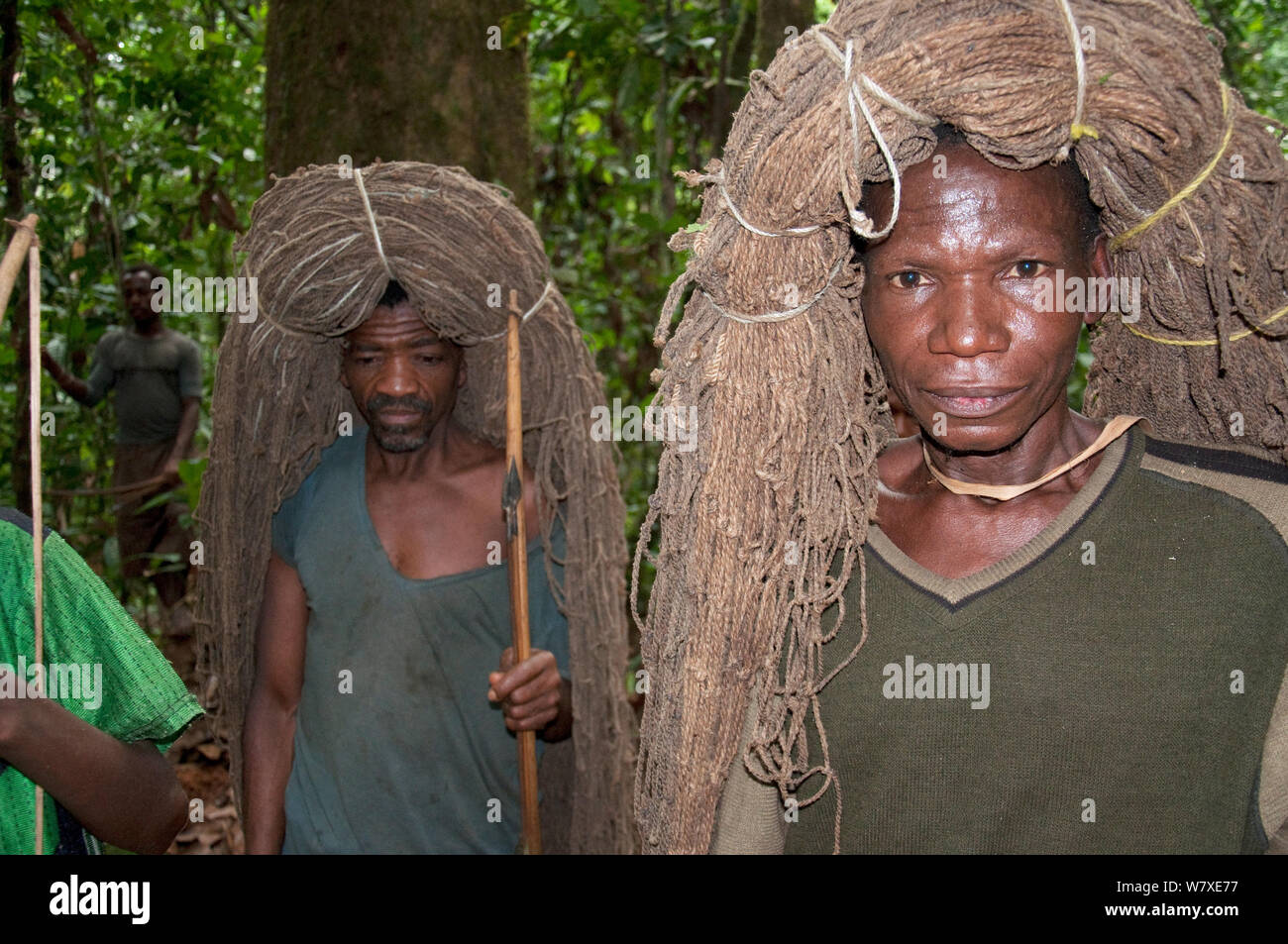 Pigmei Mbuti pigmeo di uomini che trasportano gettare le reti sulla testa per apertura Hunt, la foresta pluviale di Ituri, nella Repubblica democratica del Congo, Africa, novembre 2011. Foto Stock