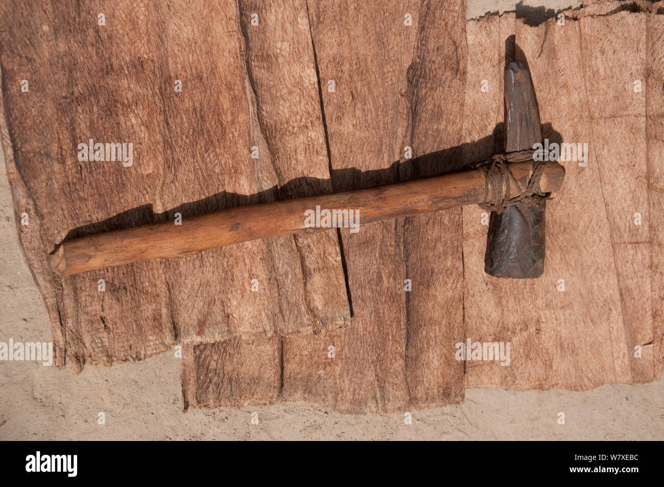 Testa di avorio ax utilizzati dagli enti locali Pigmei Mbuti pigmei, Repubblica Democratica del Congo, Africa Foto Stock