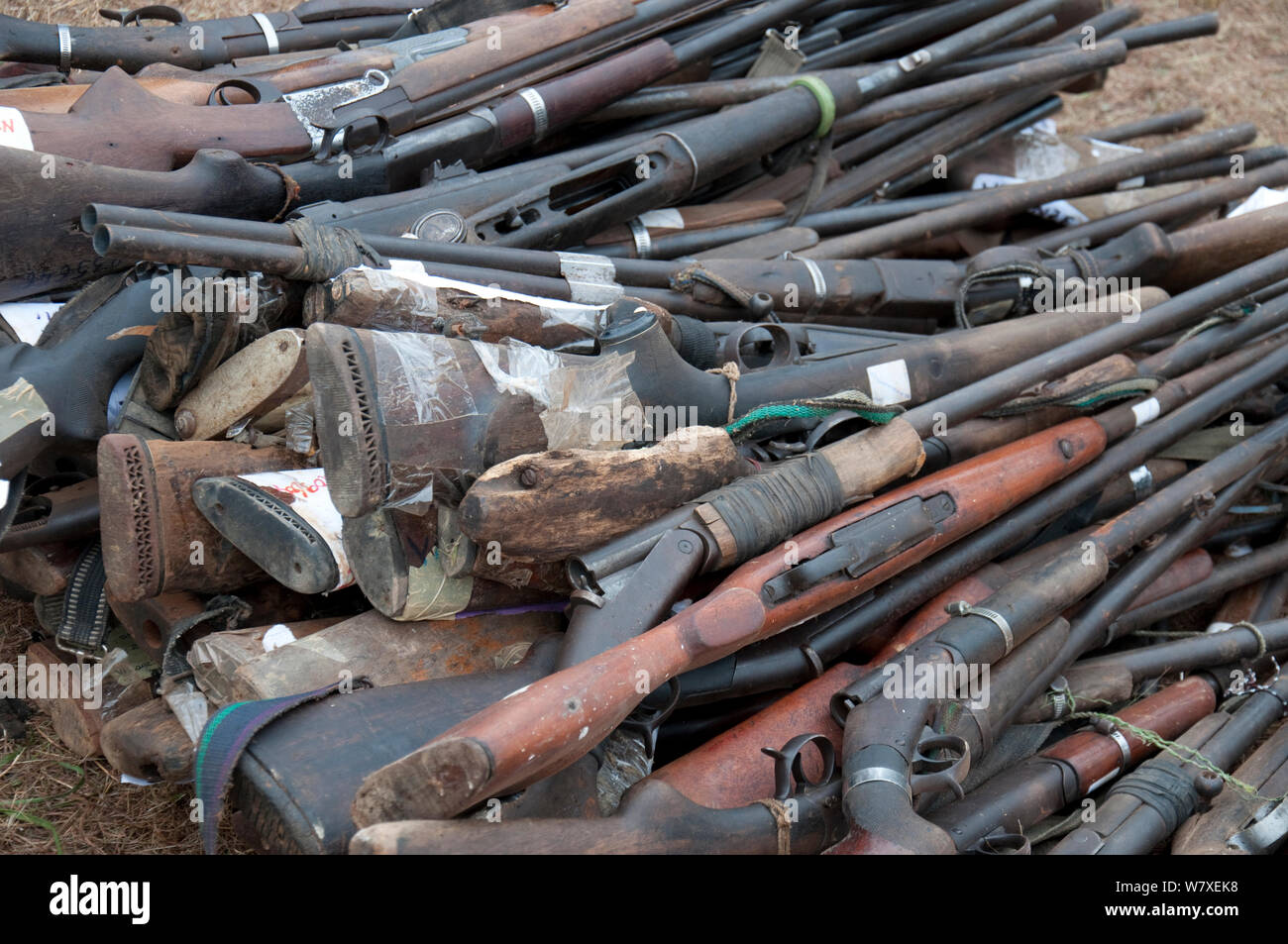Cannoni confiscati dai cacciatori di frodo, in procinto di essere bruciata durante il governo di masterizzazione in avorio, Libreville, Gabon, 6 giugno 2012. Foto Stock