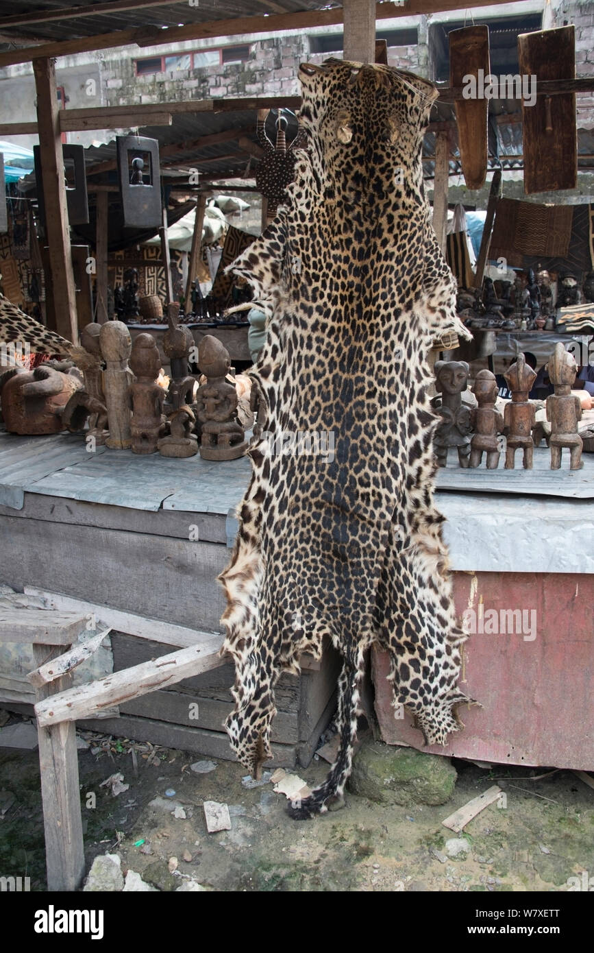A pelle di leopardo (Panthera pardus) in vendita presso Matche de la Volier (Mercato dei ladri), Kinshasa, Repubblica Democratica del Congo. Maggio 2012. Foto Stock