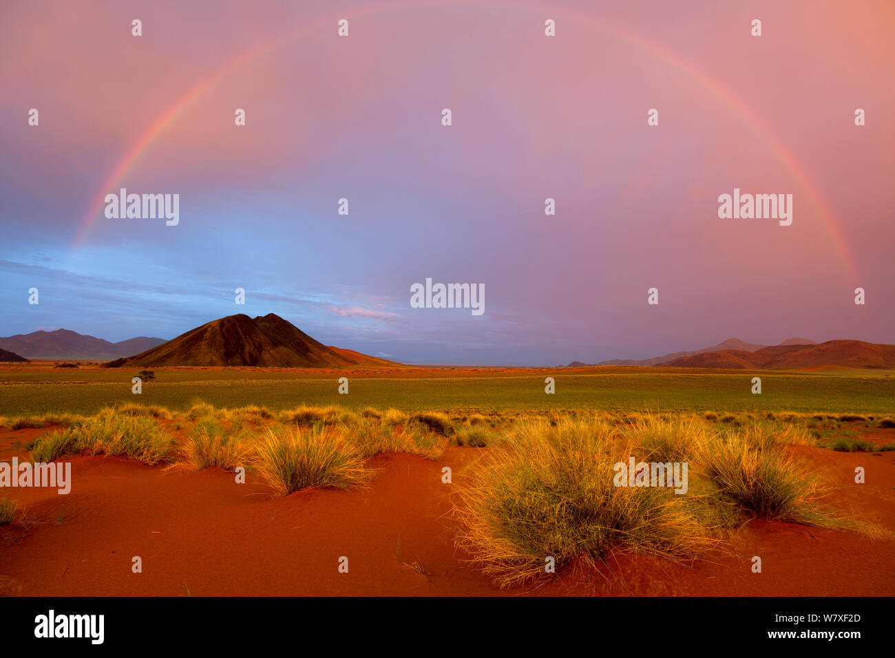 Rainbow oltre il paesaggio del deserto. Namib Rand, Namibia. Febbraio 2011. Foto Stock