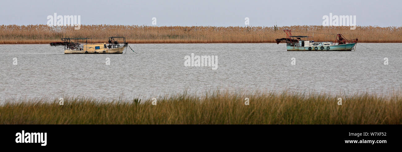 Barche alla foce del fiume Guadalquivir, Andalusia, Spagna, Marzo 2014. Foto Stock