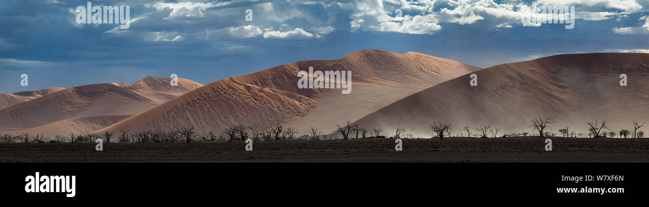 Costruzione di tempesta sulle dune del Sossusvlei. Namib Naukluft National Park, Namibia. Aprile 2014. Non-ex. Foto Stock