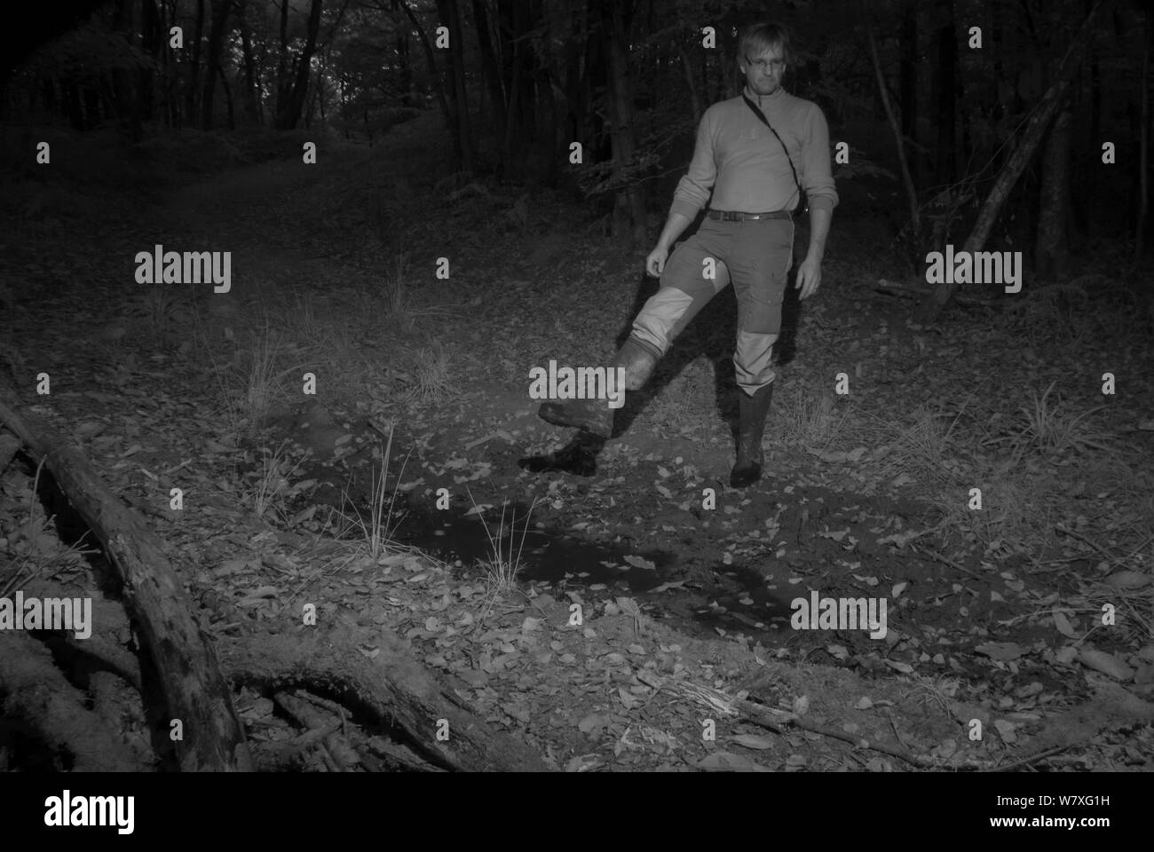 Il fotografo Eric Medard test a infrarossi fotocamera remota trappola a notte. Francia, ottobre 2014. Foto Stock