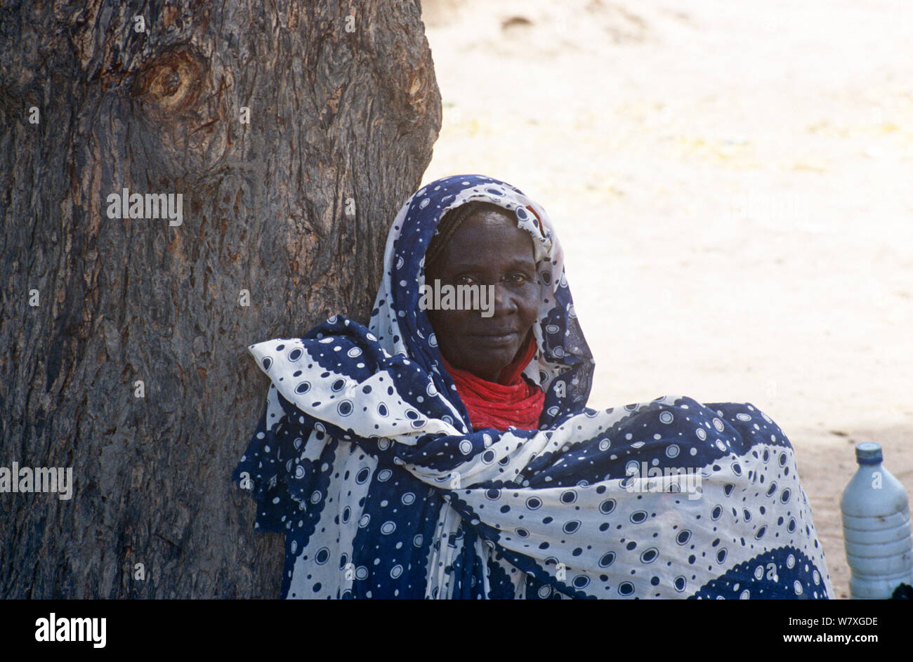 Villaggio sambuco riposo sotto alberi di acacia con bottiglia di latte nelle zone rurali, Ciad, 2002-2003. Foto Stock