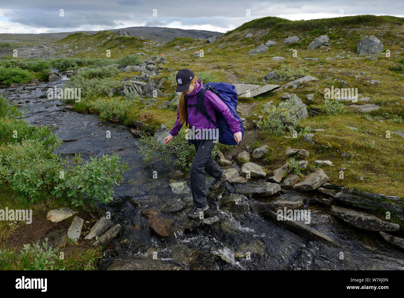 Mimmi Widstrand, camminando su pietre miliari nel flusso, Laponia circuito, lungo il sentiero Padjelantaleden, Padjelanta National Park e Sarek National Park, Norrbotten, Lapponia, Svezia. Modello rilasciato Foto Stock
