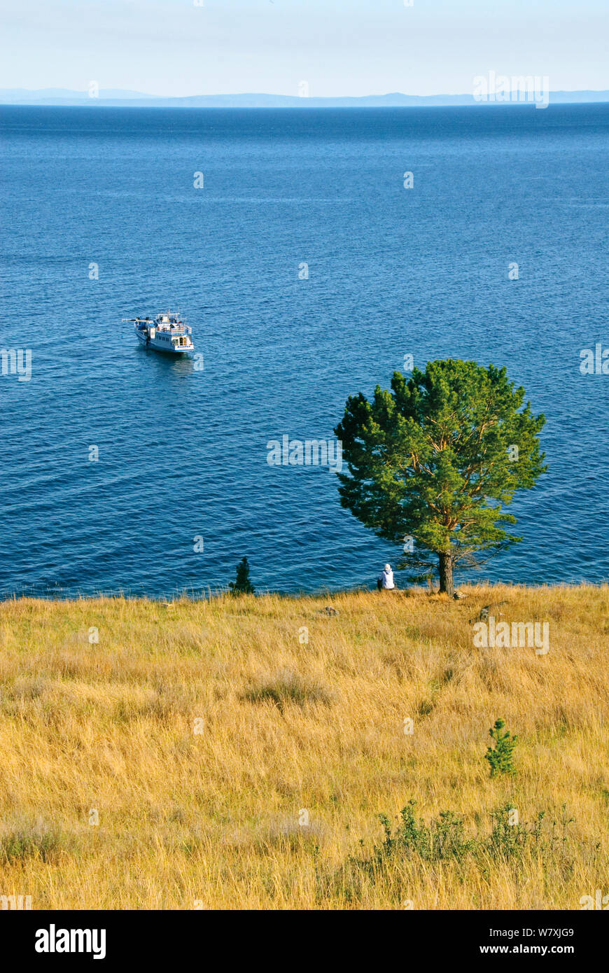 Albero sul lago Baikal shore con barca visibile al di là. La Siberia, Russia, Giugno 2009. Foto Stock