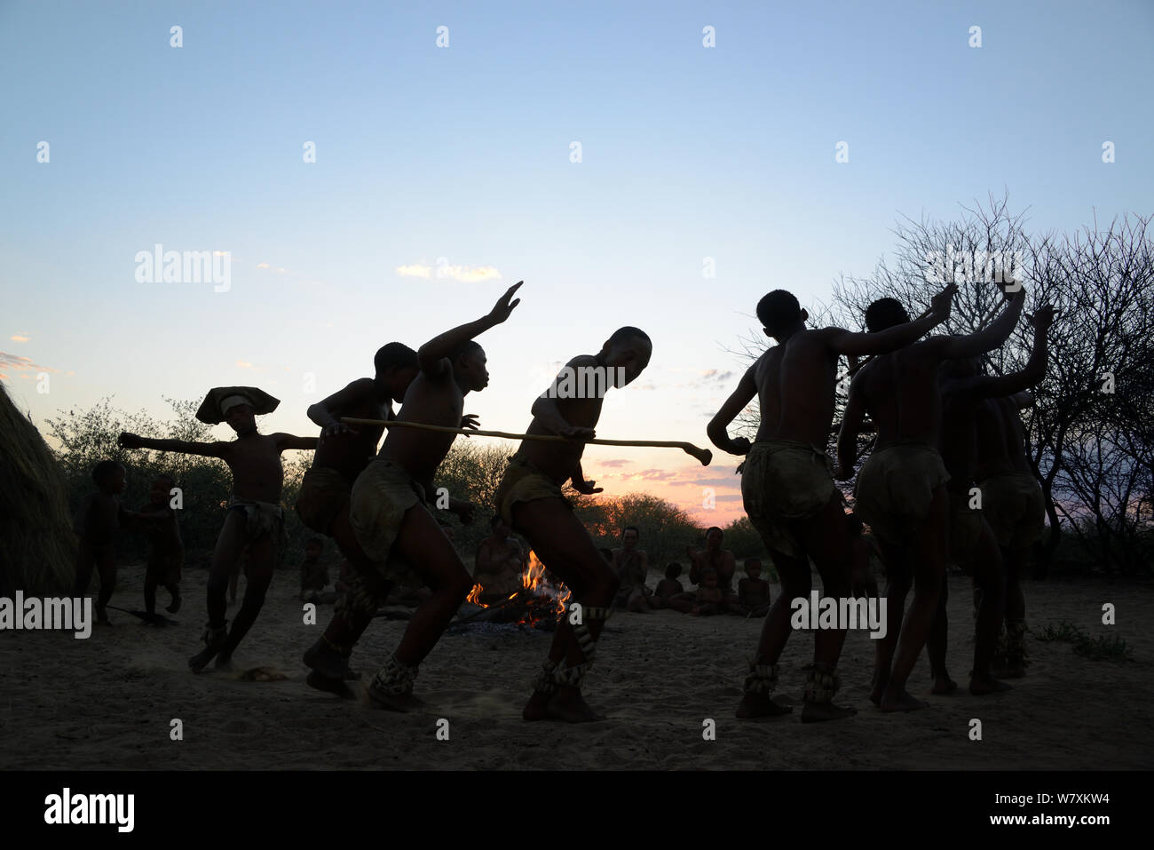 Naro Boscimani San famiglia, gli uomini di eseguire la tradizionale danza e donne che cantano e seduti intorno al fuoco all'alba, il Kalahari, Ghanzi regione, Botswana, Africa. La stagione secca, ottobre 2014. Foto Stock