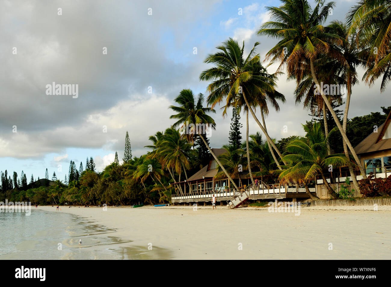Gli alberi di cocco (Cocos nucifera) sulla spiaggia con ristorante, Ile des Pins / Isola dei Pini, Nuova Caledonia, Settembre 2008 Foto Stock