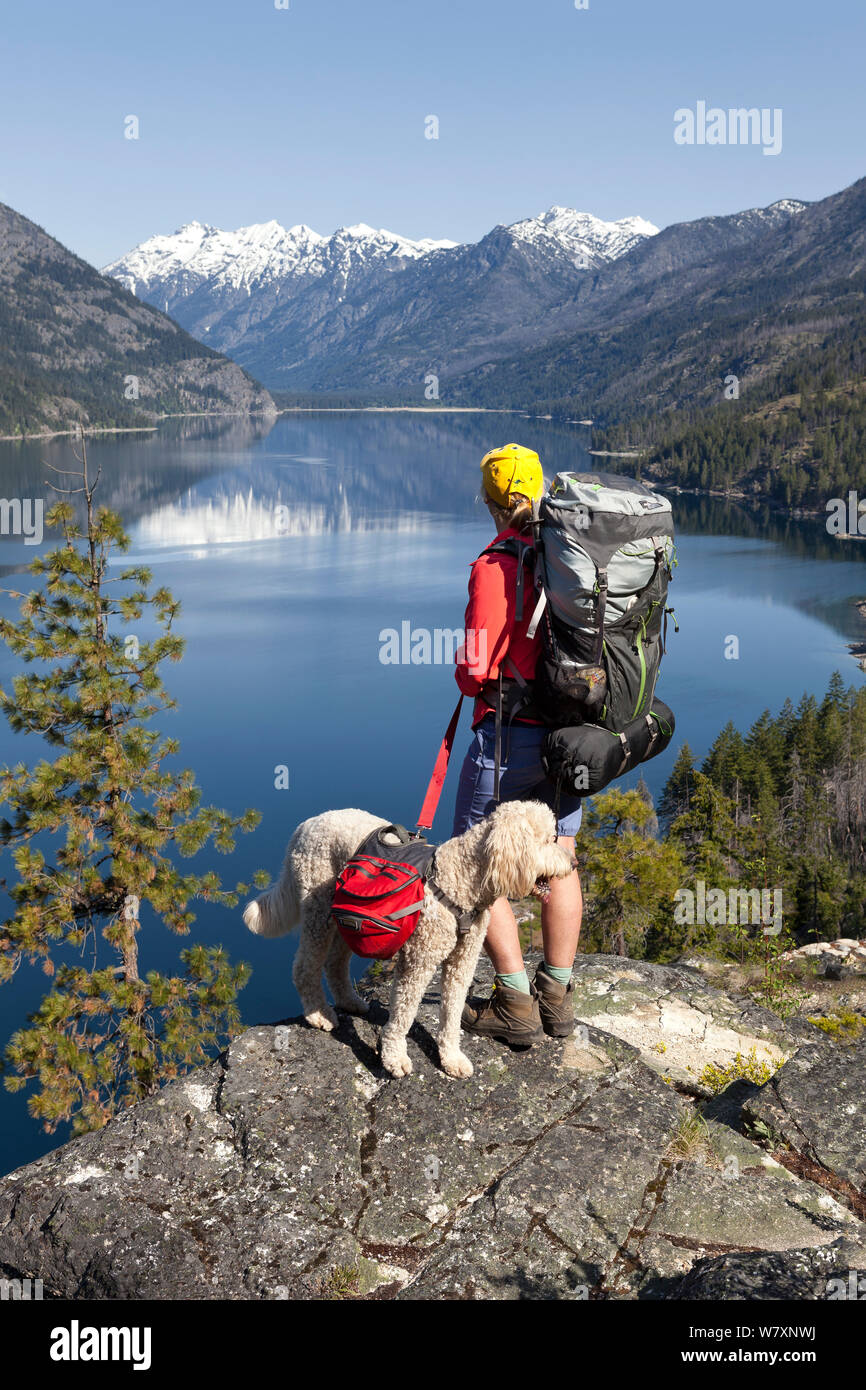 Backpacker con il cane che guarda sul lago sul lago Chelan sentiero tra punto di Moore e Stehekin, Lago Chelan-Sawtooth deserto, Washington, USA, maggio 2014. Modello rilasciato. Foto Stock