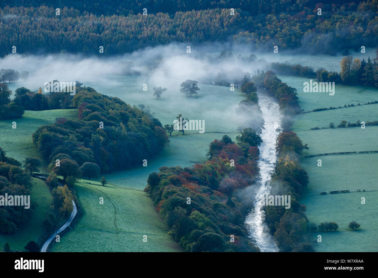 Nebbia autunnale nella Dee Valley (Dyffryn Dyfrdwy) nelle vicinanze del Llangollen, Denbighshire, Wales, Regno Unito, novembre 2013. Foto Stock