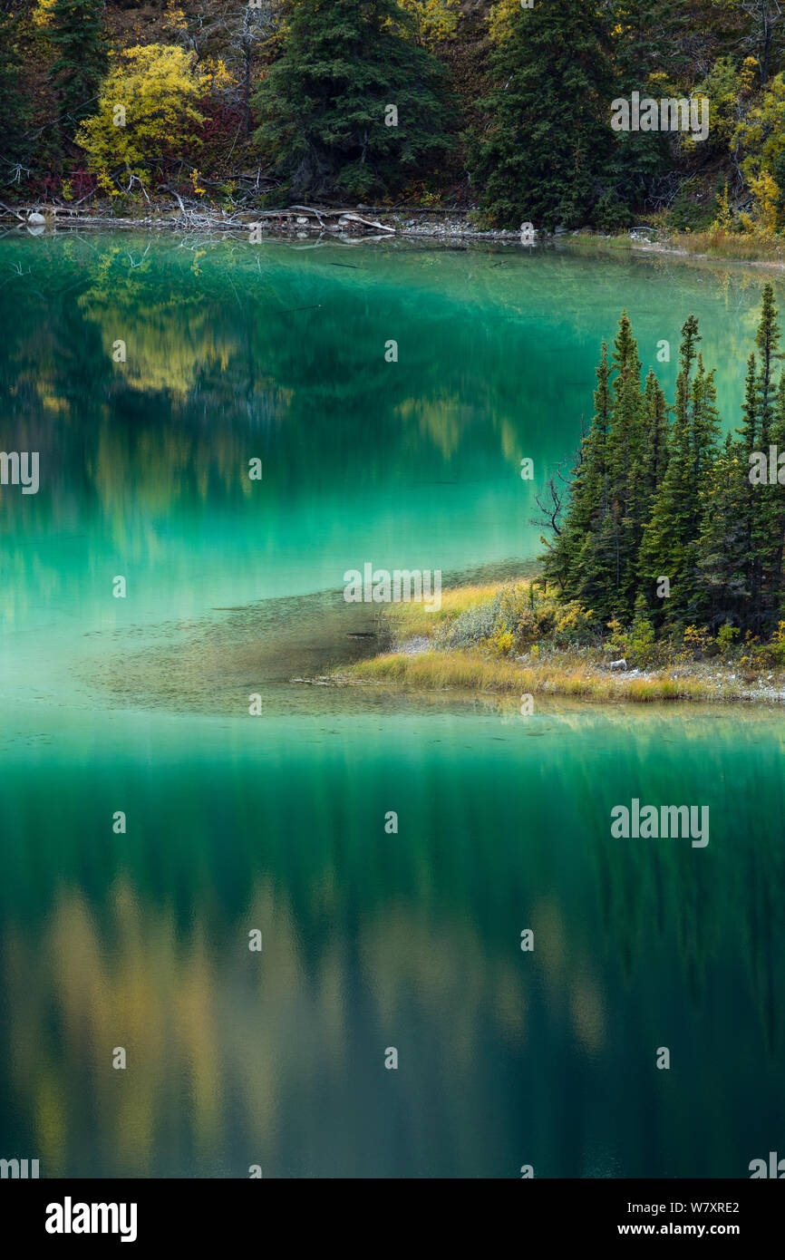 Il Lago di Smeraldo, nr Carcross, Yukon Territori, Canada Foto Stock